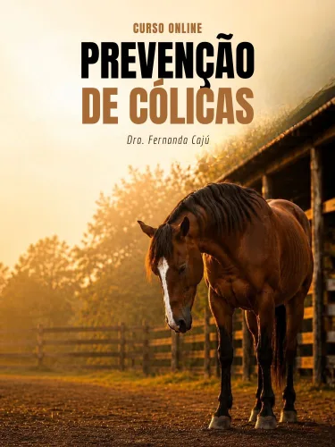 Curso Prevenção de Cólicas