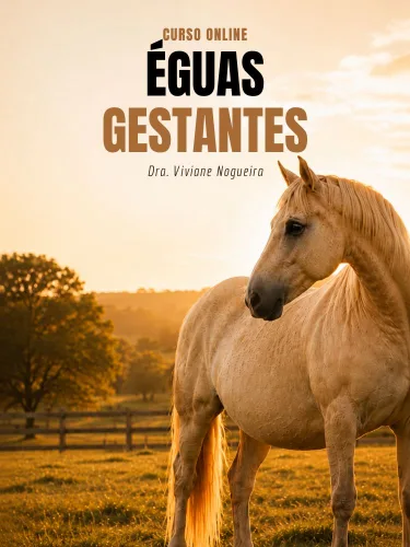 Curso Éguas Gestantes