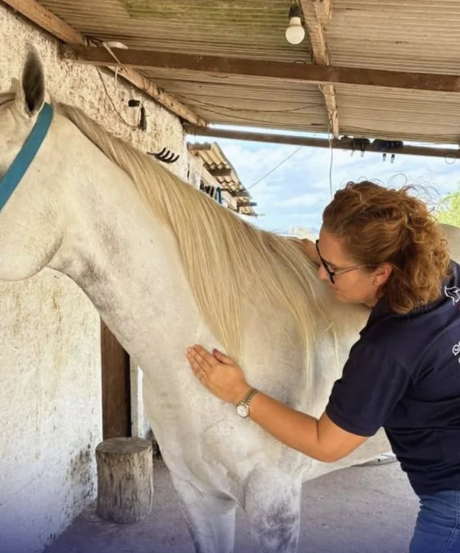 Dra. Fernanda Cajú examinando um cavalo