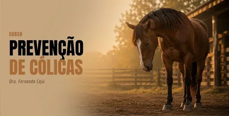 Curso Prevenção de Cólicas