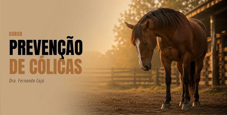 Curso Prevenção de Cólicas