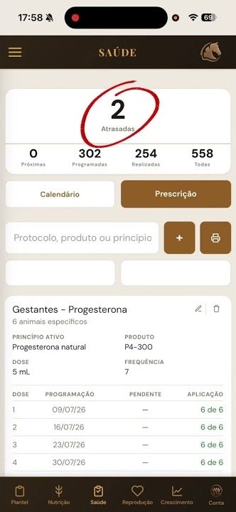 V&iacute;deo mostrando o sistema por dentro, tela por tela, gravado direto do celular