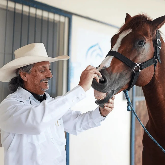 Dr. Antônio Travassos, zootecnista especialista em odontologia equina