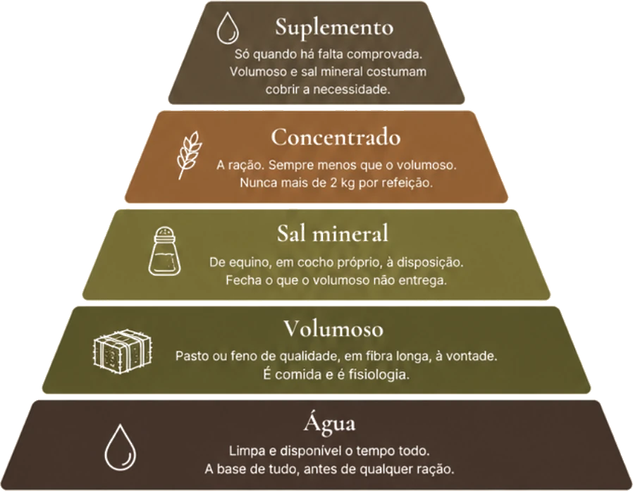 Pirâmide da ordem de prioridade na alimentação: água, volumoso, sal mineral, concentrado e suplemento