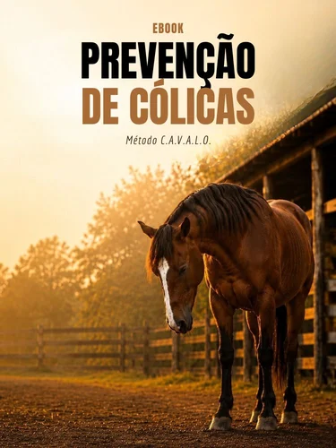 Kit Prevenção de Cólicas