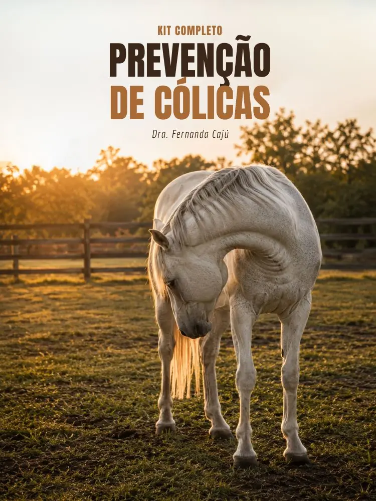 Kit Prevenção de Cólicas