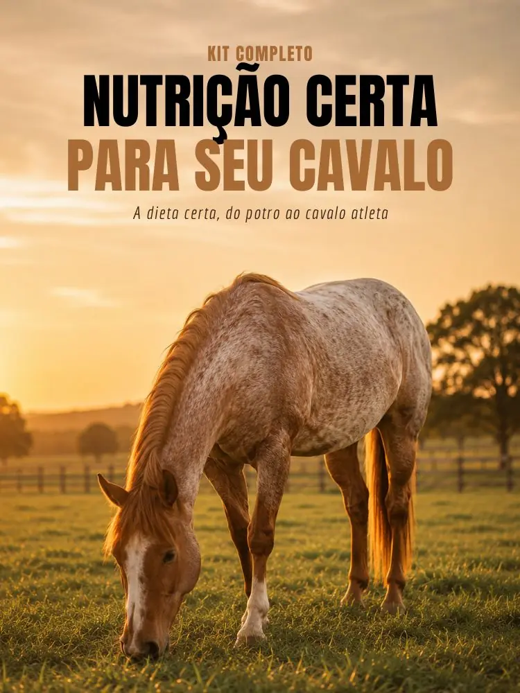 Kit Nutrição Certa