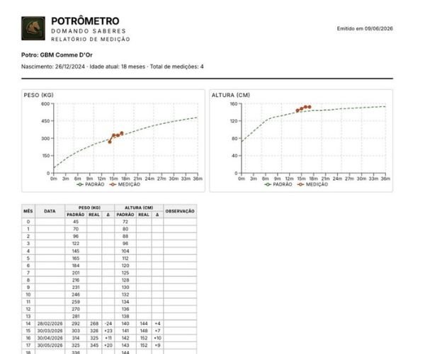 Relatório de medição do potro em PDF