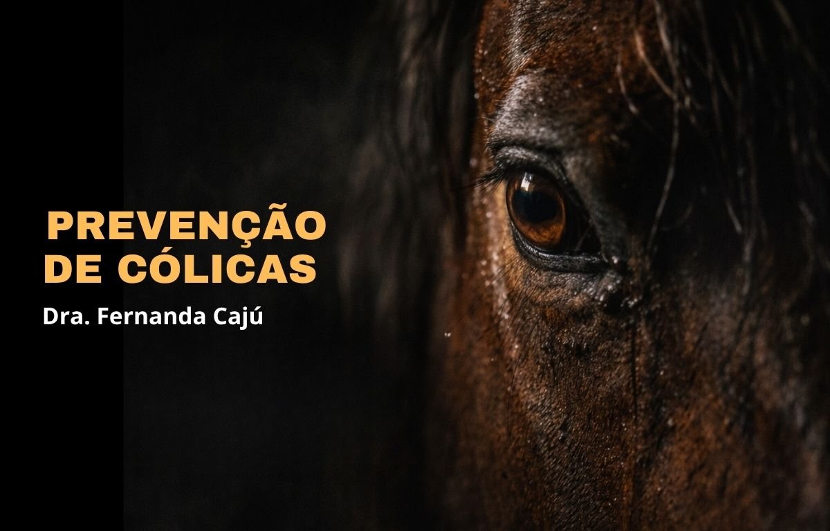 Prevenção de Cólicas